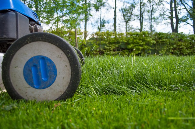 Cutting Grass