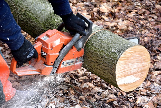 Storm Clean-up