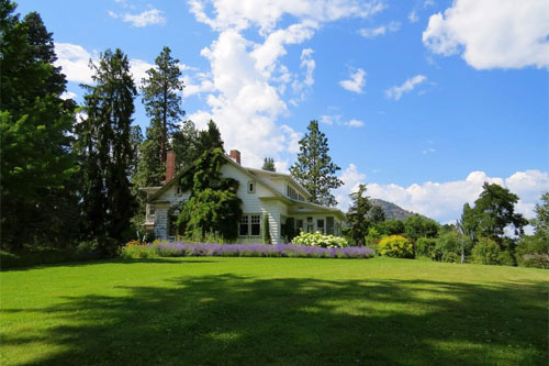 Lawn Maintenance