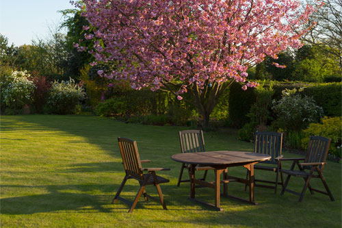 Lawn Care